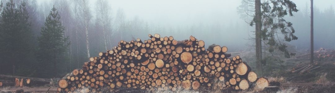 Image related to an article about Western Forest Products