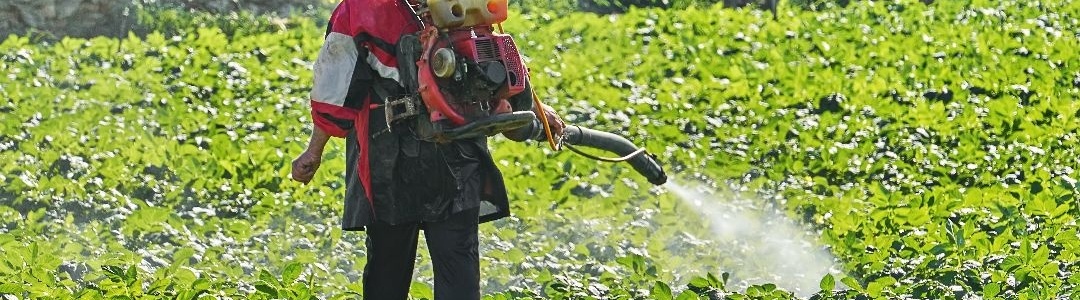 Image related to an article about Insecticides (India)