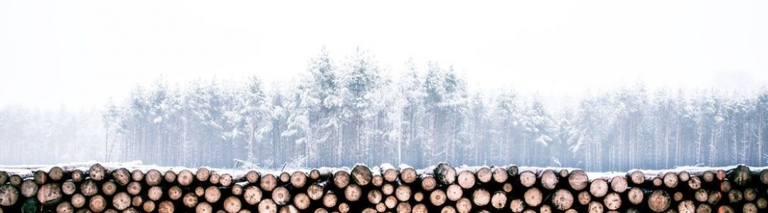 Image related to an article about West Fraser Timber Co