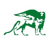 Mlp Se Share Price Mlp Share Price