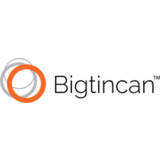 Picture of BIGTINCAN HOLDINGS ORD logo