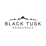 Picture of BLACK TUSK RESOURCES ORD logo