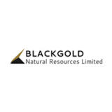 Picture of Blackgold Natural Resources logo