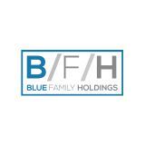 Picture of BLUE HOLDINGS ORD logo