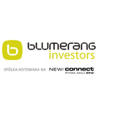 Picture of BLUMERANG INVESTORS ORD logo