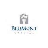 Blumont Share Price A33 Share Price Stockopedia