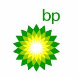 Picture of BP logo