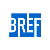 Picture of BG REAL EST INV REIT ORD logo