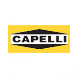 Picture of Capelli SA logo