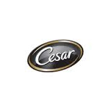 Picture of Cesar SA logo