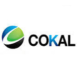 Cokal Share Price Cka Share Price