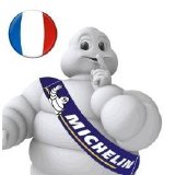 Picture of Compagnie Generale des Etablissements Michelin SCA logo