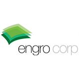 Picture of Engro Ltd logo