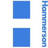 Picture of Hammerson logo