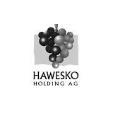 Hawesko Holding Ag Share Price Haw Share Price