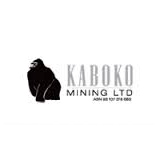 Kaboko Mining Share Price Kab Share Price