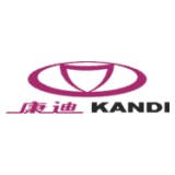 Kandi share price