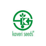 Picture of KAVERI SEED ORD logo