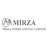 Mirza International Share Price Chart