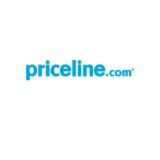 Picture of Booking Holdings logo