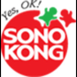 Picture of SONOKONG ORDINARY logo