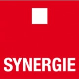Picture of Synergie SE logo