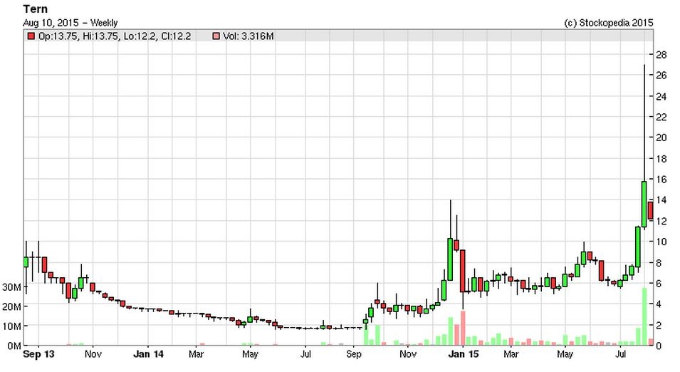 55c879389d1caTERN_chart.JPG