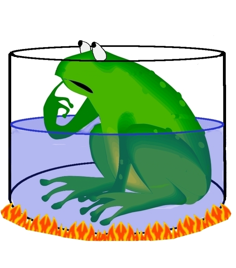 57f41427a49d3small_frog.png